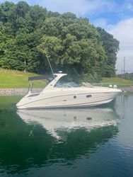 31' Sea Ray 2011