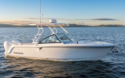 25' Blackfin 2024
