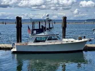 37' Tollycraft 1980