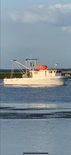 Stapleton Shrimper/Long Liner