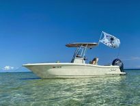 Scout 195 Sportfish