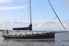 Puffin 36