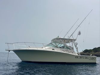 35' Cabo 2006