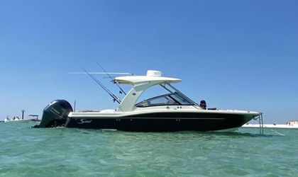 27' Scout 2020 Yacht For Sale