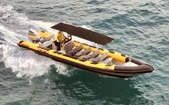 Vanguard FULMAR 10