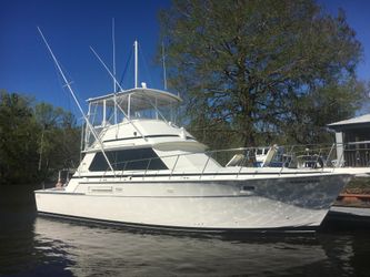 42' Bertram 1981