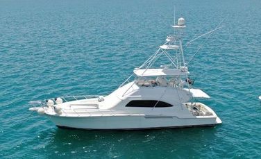 Bertram 570
