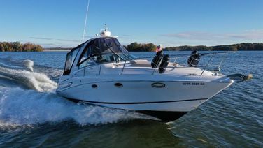 Four Winns V335