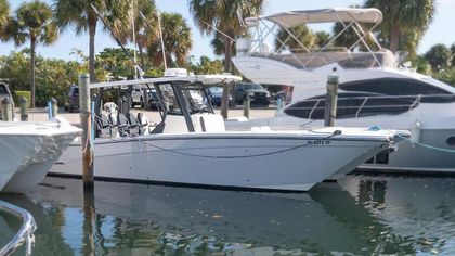 40' World Cat 2022