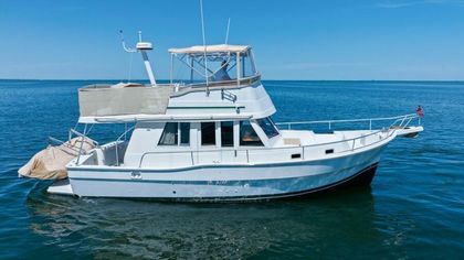 39' Mainship 2001 Yacht For Sale
