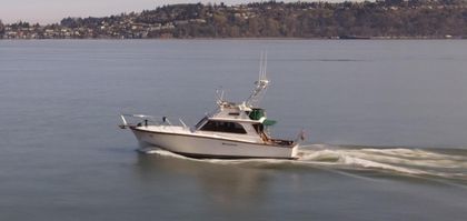 41' Egg Harbor 1983