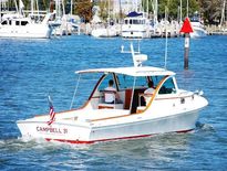 Campbell Custom Yacht 31