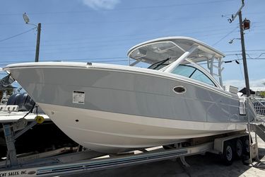 31' Robalo 2024