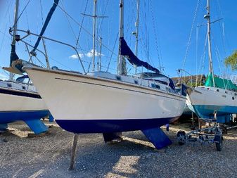 Westerly Konsort