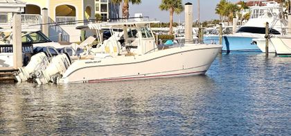 32' World Cat 2016
