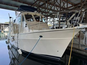 43' North Pacific 2010
