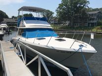 Trojan 36 Convertible