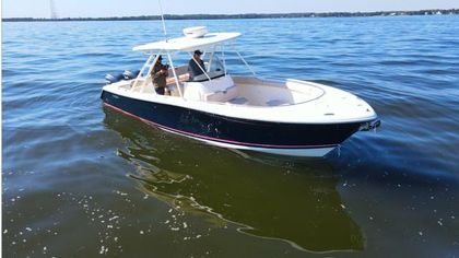 31' Pursuit 2009