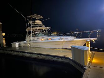37' Stamas 2005