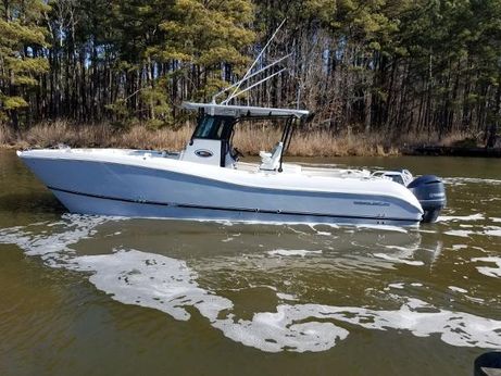 World Cat Boats For Sale Yachtworld