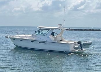 31' Tiara Yachts 2001