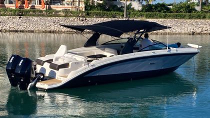 29' Sea Ray 2020