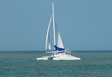 50' Custom 2012