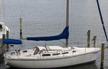 Catalina 36