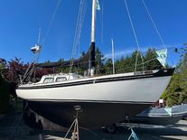 Vertue 25