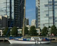 Halmatic Pilothouse Cutter