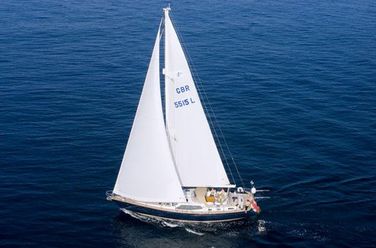 Discovery 55