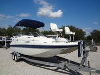 Splendor 240 sunstar