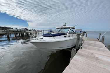 31' Boston Whaler 2018