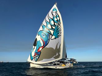54' Hylas 2009