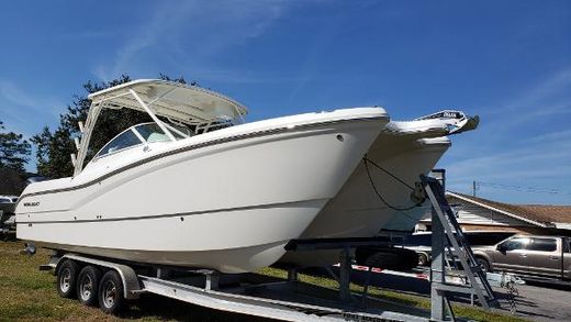 World Cat Boats For Sale In North Carolina Yachtworld