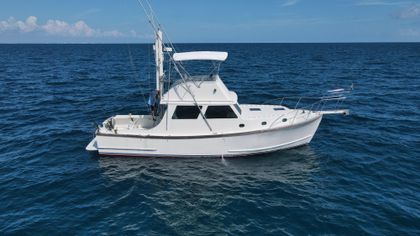 38' Wilbur 1983