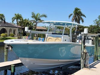 31' Sportsman 2018