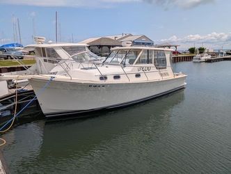 31' Mainship 2010