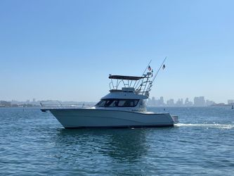 41' Rodman 2014