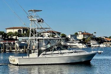Blackfin Combi 33
