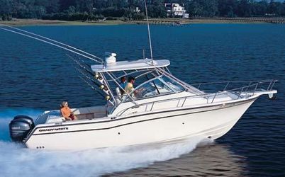 31' Grady-white 2010