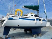 Wrighton Biloup 77 nv