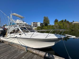 35' Carolina Classic 1999