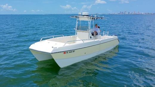 Sea Cat Boats For Sale Yachtworld