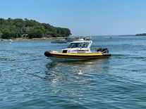 Protector Targa 30