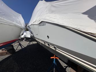 30' Pursuit 2024