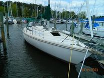 Catalina 36
