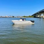 Twin Vee 260GFX