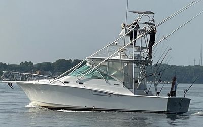 36' Luhrs 2000