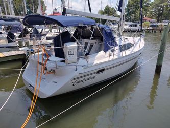 31' Catalina 2017